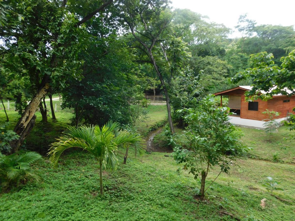 Villasjungle 2 Samara Exterior photo